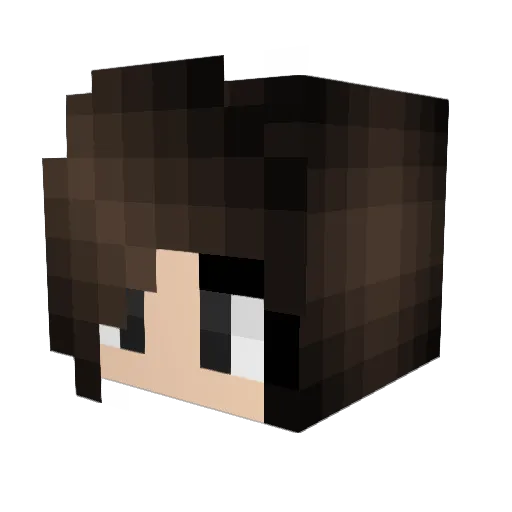 JacyL9 Minecraft avatar head, 3D render
