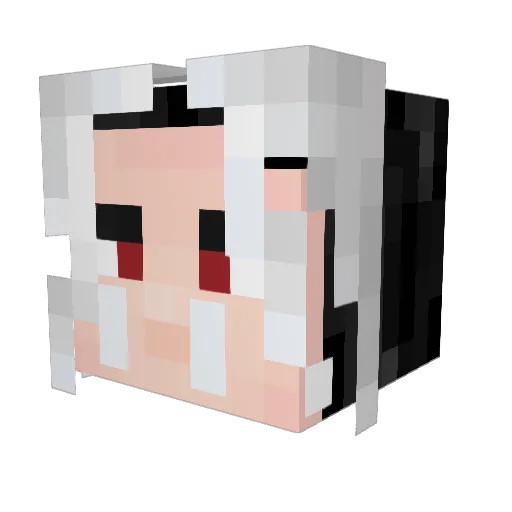 Jad20 Minecraft avatar head, 3D render