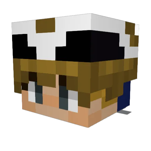 Jadan123 Minecraft avatar head, 3D render