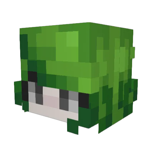 Jade1122333 Minecraft avatar head, 3D render
