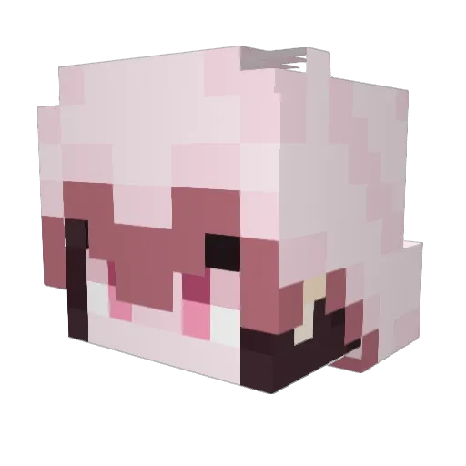 JadeFantom Minecraft avatar head, 3D render