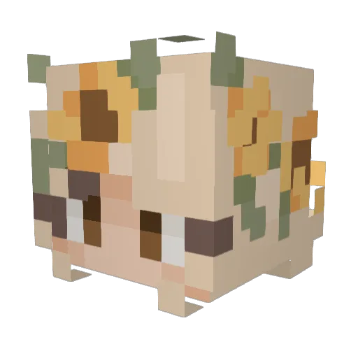 JadeFoxx01 Minecraft avatar head, 3D render