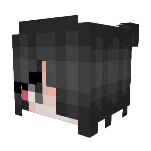 JadePookie Minecraft avatar head, 3D render