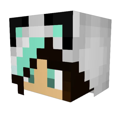 Jade_Night Minecraft avatar head, 3D render