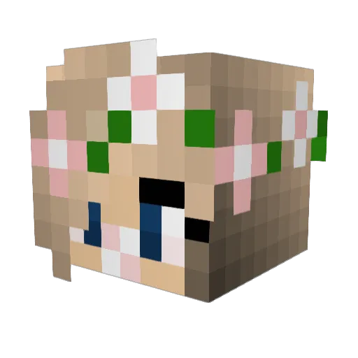Jaden13 Minecraft avatar head, 3D render