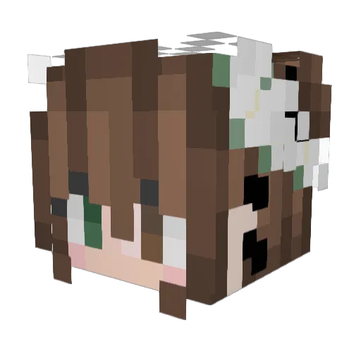Jaden6561 Minecraft avatar head, 3D render