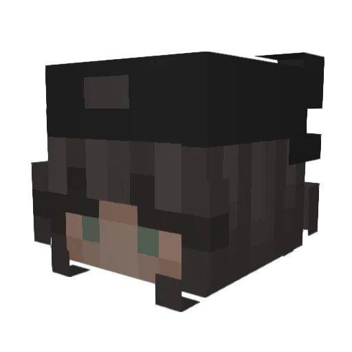 Jaden757 Minecraft avatar head, 3D render