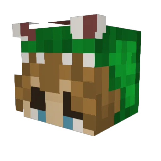 Jaden80521 Minecraft avatar head, 3D render
