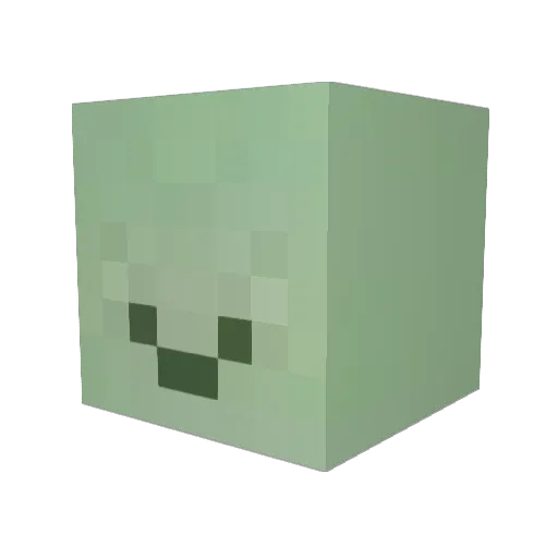 JadenIsASimp Minecraft avatar head, 3D render