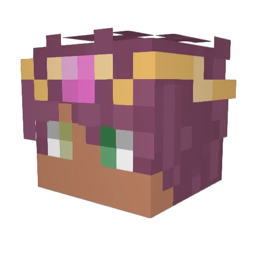JadenPlaysMC123 Minecraft avatar head, 3D render