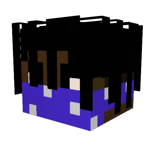 Jaden_OG Minecraft avatar head, 3D render
