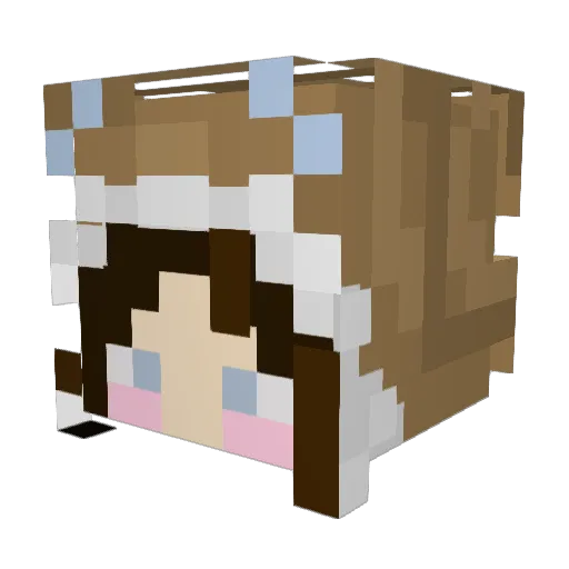 Jaderbugg27 Minecraft avatar head, 3D render