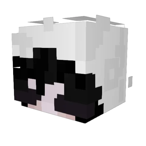 Jaderkit Minecraft avatar head, 3D render