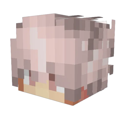 Jadespeech Minecraft avatar head, 3D render