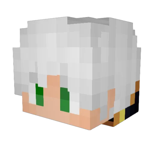 Jadex202 Minecraft avatar head, 3D render