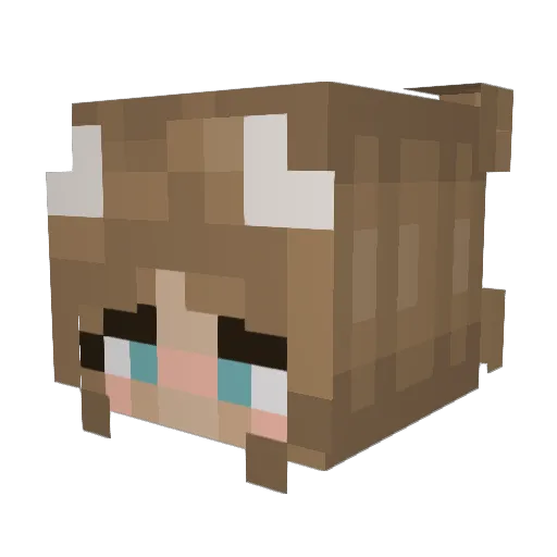 JadeyMinecraft Minecraft avatar head, 3D render