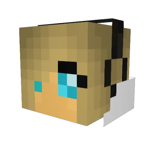 Jadey_J20 Minecraft avatar head, 3D render