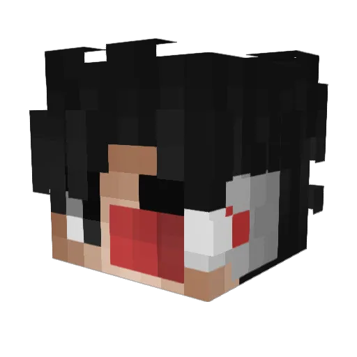 Jadi62 Minecraft avatar head, 3D render