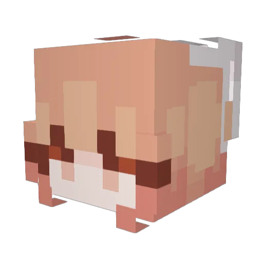 JadleBug Minecraft avatar head, 3D render