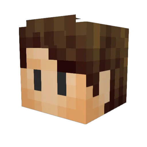 Jadon108 Minecraft avatar head, 3D render