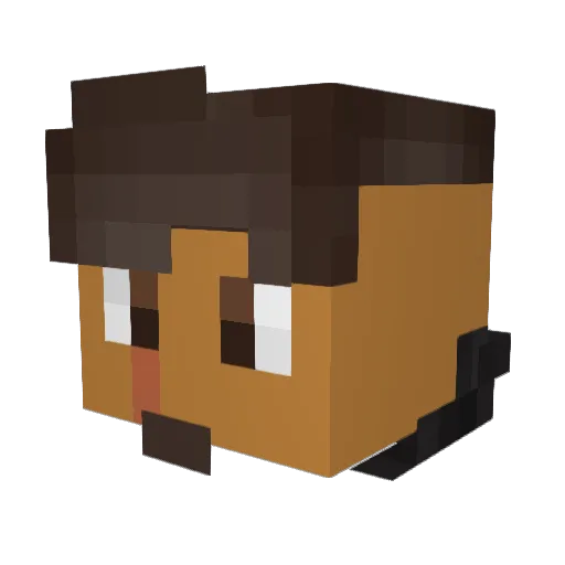 Jadsoff Minecraft avatar head, 3D render