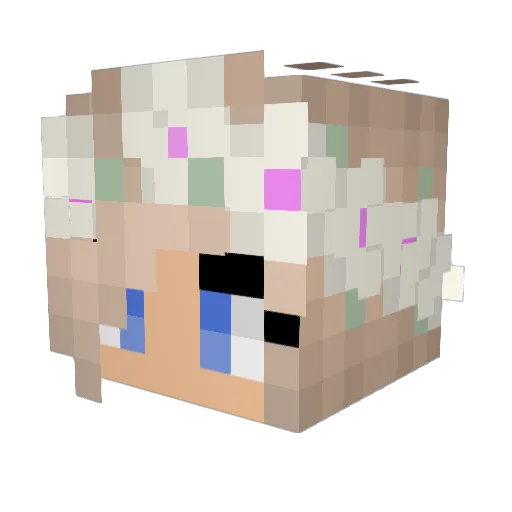 JadynMarie Minecraft avatar head, 3D render