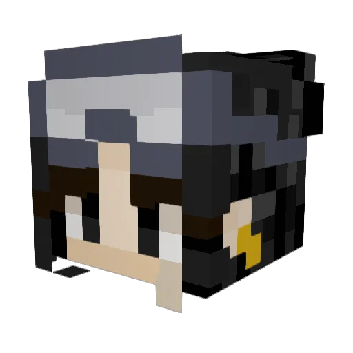 Jae789 Minecraft avatar head, 3D render