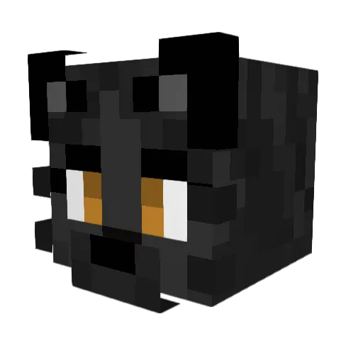 JaeCeePenny Minecraft avatar head, 3D render