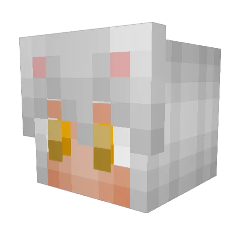 JaeRenIDK Minecraft avatar head, 3D render