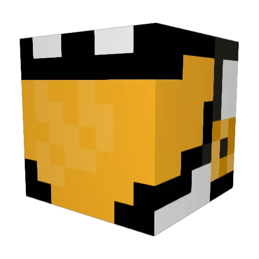 Jaecen Minecraft avatar head, 3D render