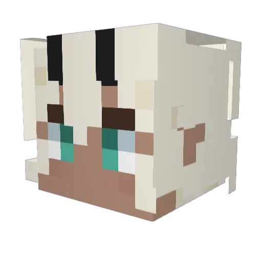 Jaedd Minecraft avatar head, 3D render