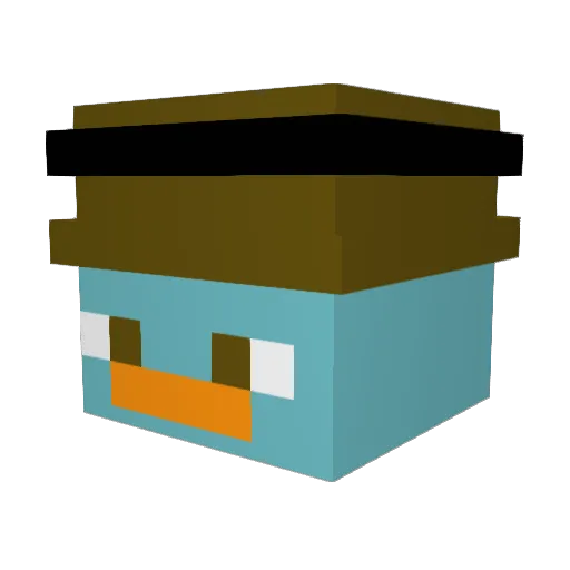 Jaeder Minecraft avatar head, 3D render