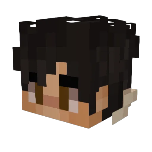 Jaedge_ Minecraft avatar head, 3D render