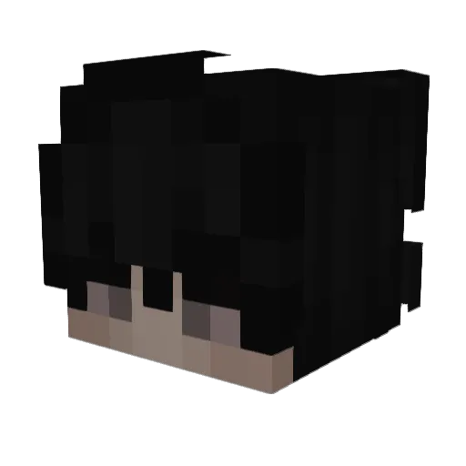 Jaehnsen Minecraft avatar head, 3D render