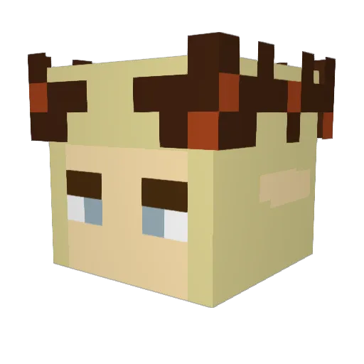 Jaehzorn Minecraft avatar head, 3D render