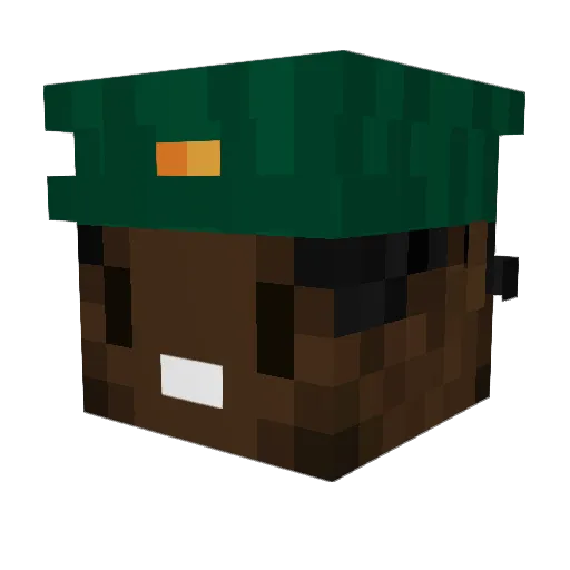 Jaeis Minecraft avatar head, 3D render