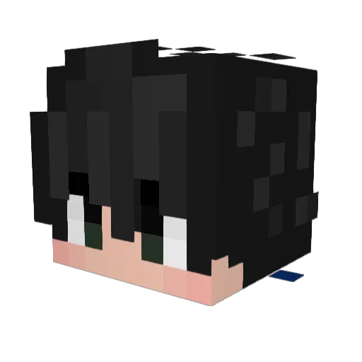 Jaek_09 Minecraft avatar head, 3D render