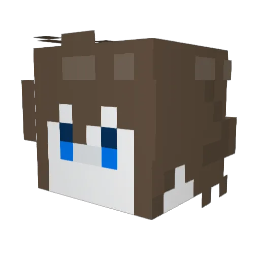 Jaemini8 Minecraft avatar head, 3D render