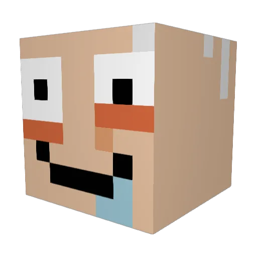 Jaerae Minecraft avatar head, 3D render