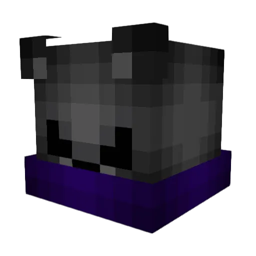 Jaes12 Minecraft avatar head, 3D render