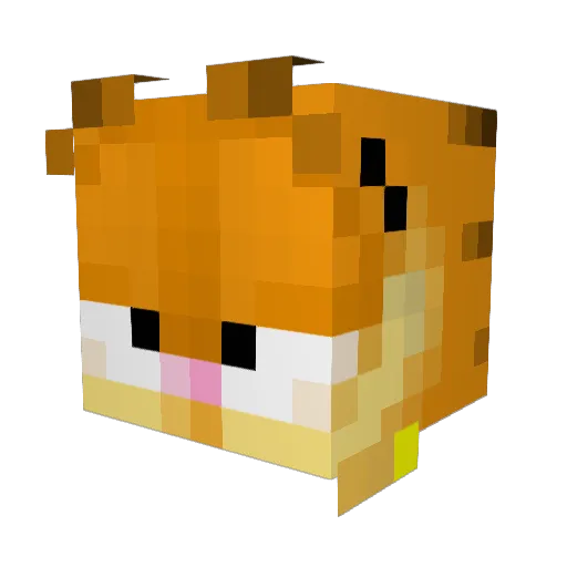 Jaesh Minecraft avatar head, 3D render
