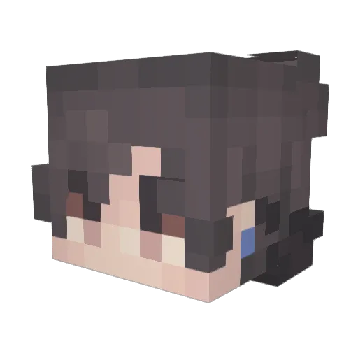 Jaevid13 Minecraft avatar head, 3D render