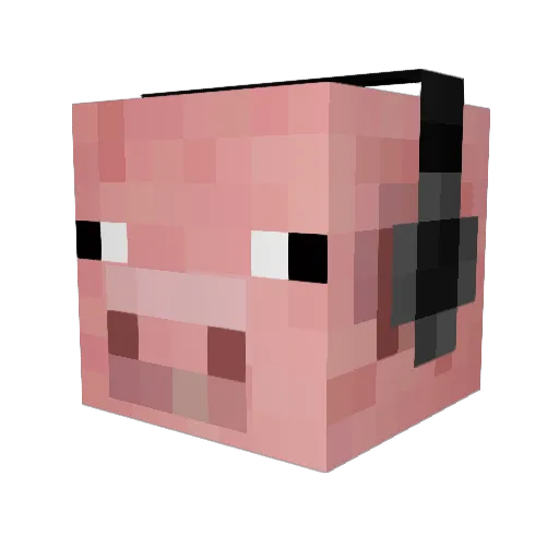 Jaewandoo Minecraft avatar head, 3D render