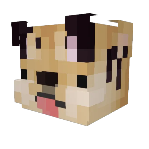 Jaewki Minecraft avatar head, 3D render