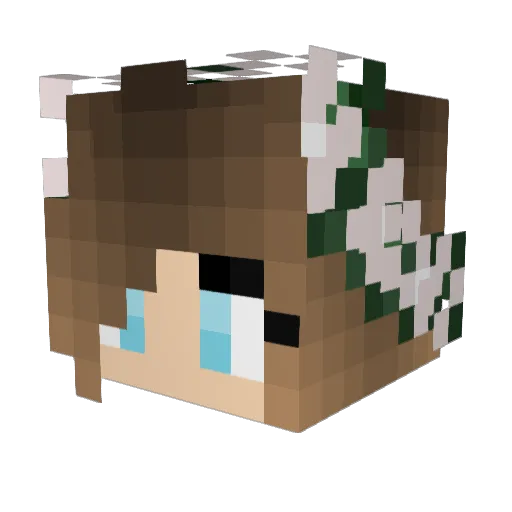 JaffaJaffa Minecraft avatar head, 3D render