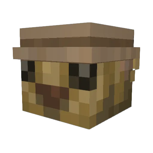JagaJaga_ Minecraft avatar head, 3D render