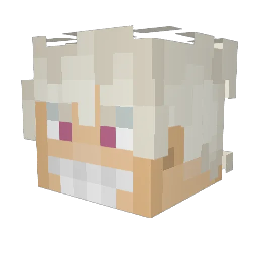JagerBadge Minecraft avatar head, 3D render