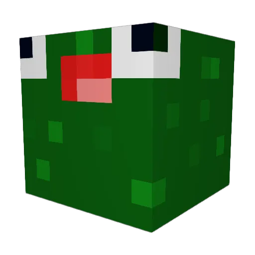 JaggedTurtle325 Minecraft avatar head, 3D render