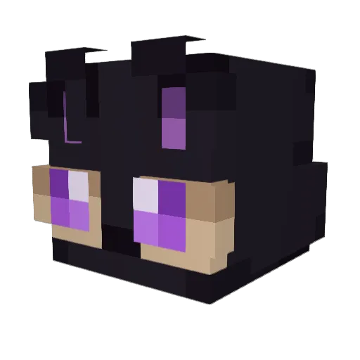 Jaggins3 Minecraft avatar head, 3D render