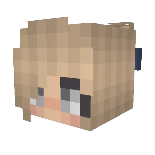 Jagodziaw Minecraft avatar head, 3D render